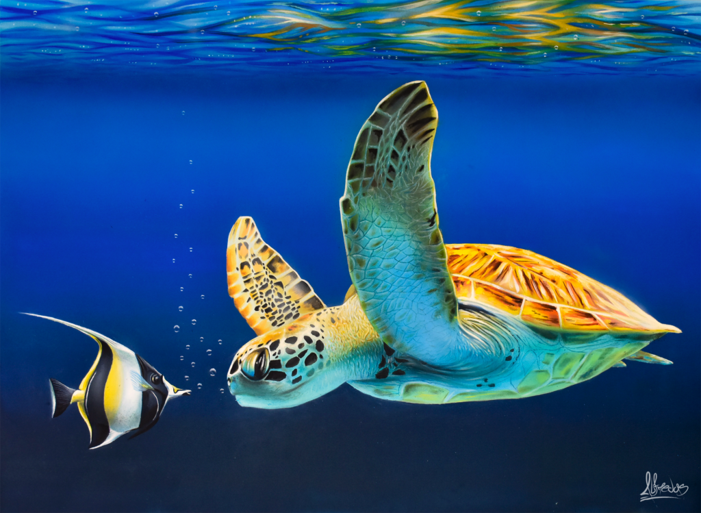 Le Zancle et la Tortue